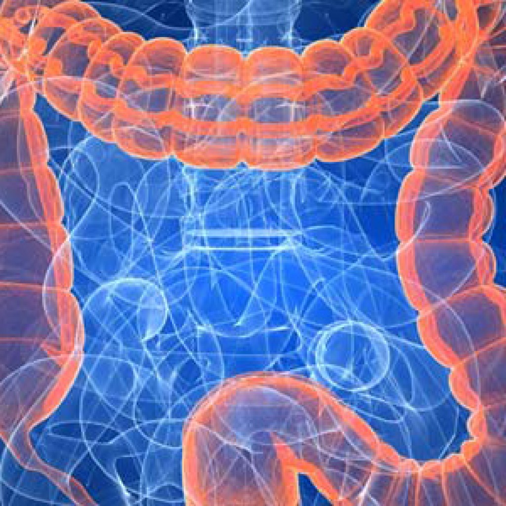 01_cuidar_intestino