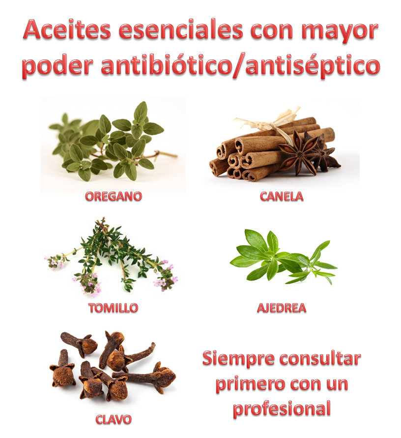 Aceites antibioticos antisepticos