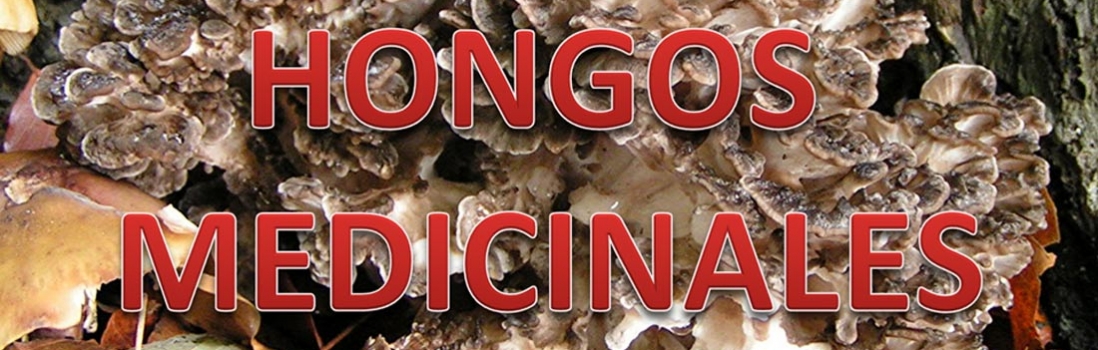 Hongos Medicinales