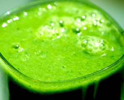Atrévete con la Chlorella