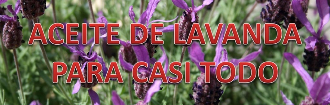 Aceite de Lavanda para casi todo