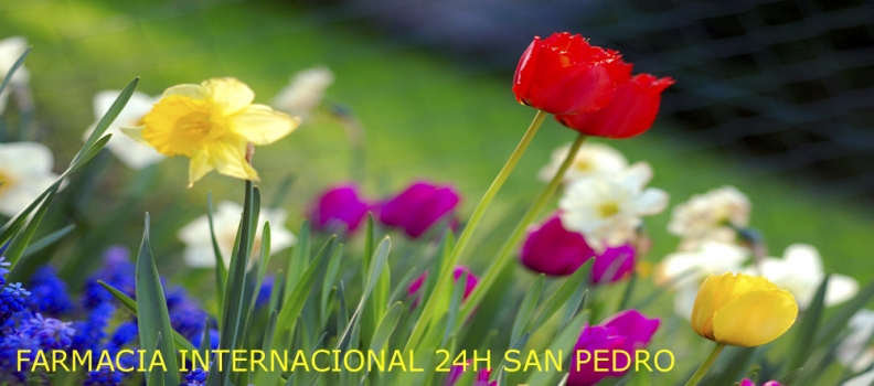 Alergia Primaveral