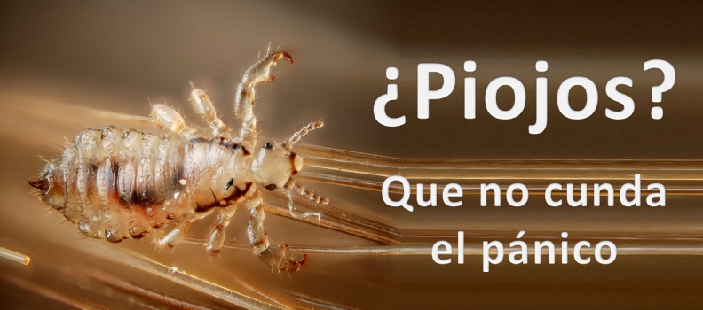 ¿Piojos? ¡Que no cunda el pánico!