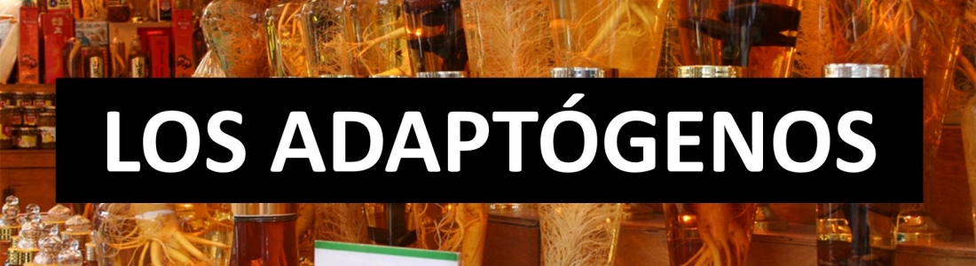 Los adaptógenos