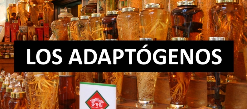 Los adaptógenos