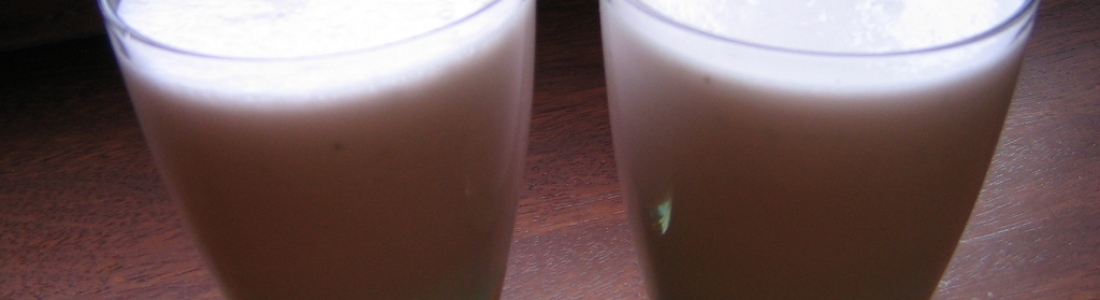 Recetas Active Food