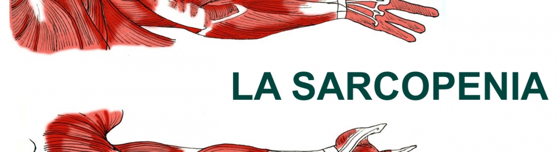 Pérdida de masa muscular: la sarcopenia.