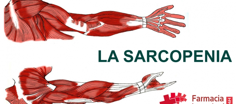 Pérdida de masa muscular: la sarcopenia.
