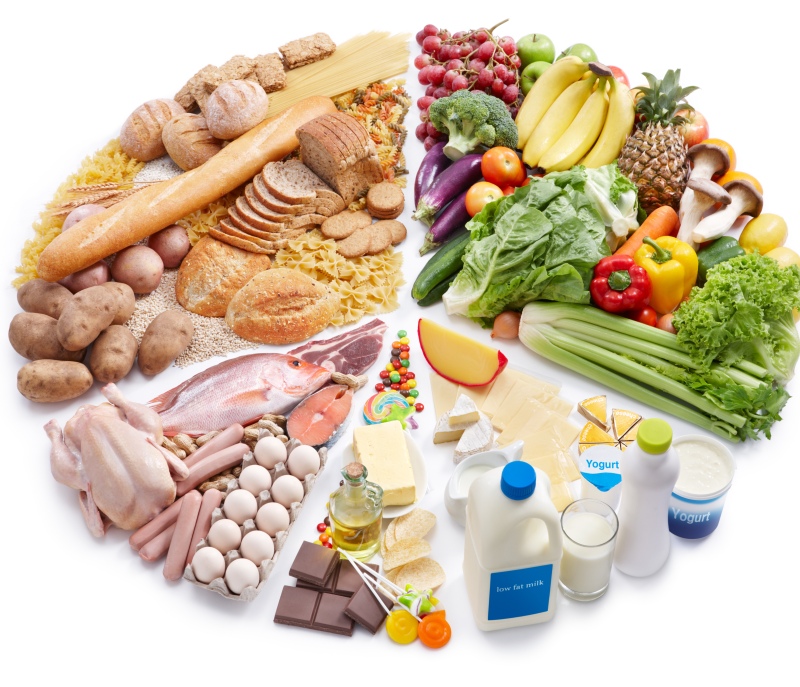 Diversificación de la dieta