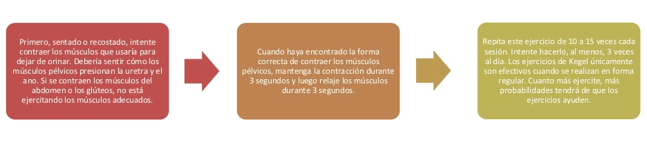 ejercicio_kegel