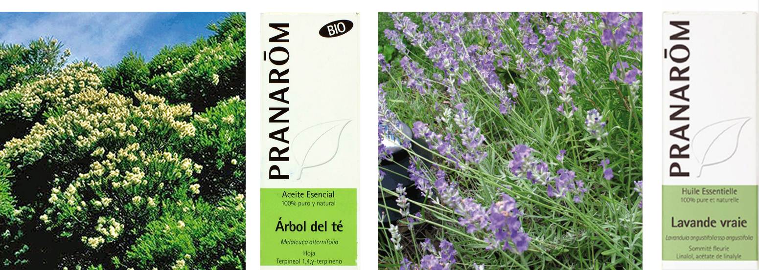 opciones_naturales.