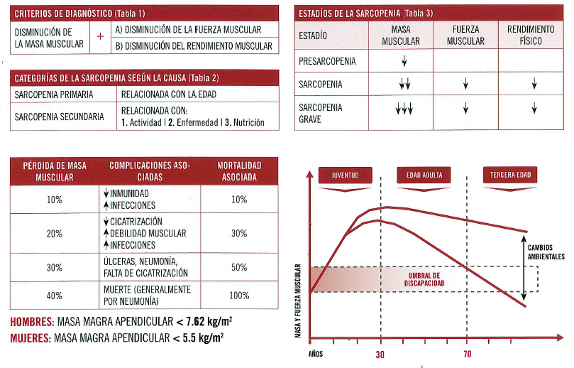 Sarcopenia - Diagnostico y categorías